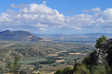 Obraz premium Andalusian landscape, olive- and almond-trees, near Moclín, Montes de Granada, Spain