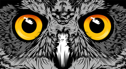 Face owl illustration sketch portrait closeup design vector