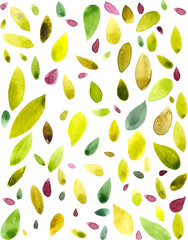 watercolor illustration, abstract background, drops, sheets, summer, green, yellow, Burgundy