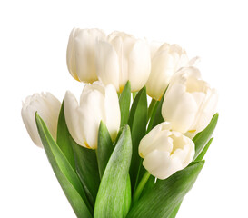 Fototapeta na wymiar Nice white spring tulips bouquet