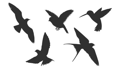 Obraz na płótnie Canvas Silhouette of birds set on a white background. Isolated vector.