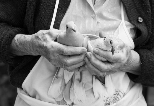 Vieille dame aux tourterelles