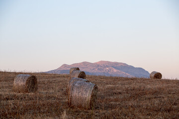 Balle di fieno con collina all'orizzonte