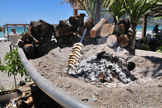 "Espetos", Sardine-skewers, typical at the Andalusian coastline of Granada and Malaga