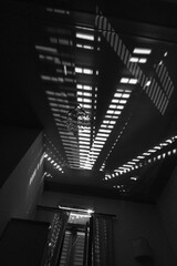 Naklejka premium shadows in black and white