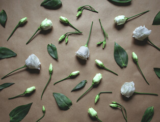 Flower arrangement Pattern of fresh eustoma flowers in pastel tones on craft paper