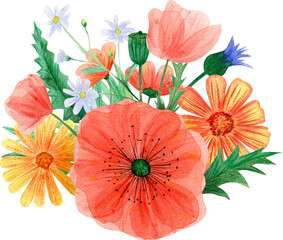 Watercolor wild flowers composition with poppies, chamomile, calendula and liaves for invitation and card design and decor.