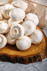 Ceps of champignon nature, wooden and gray background. mushrooms close-up. Fresh ripe pure porcini champignon