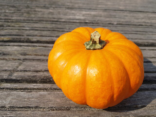 Lonely pumpkin on a wooden surface on a sunny day.; 