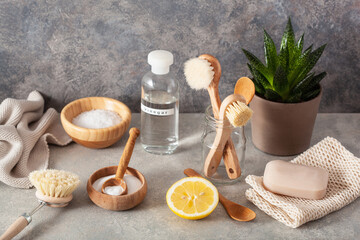 zero waste eco friendly cleaning concept. wooden brushes, lemon, baking soda, vinegar