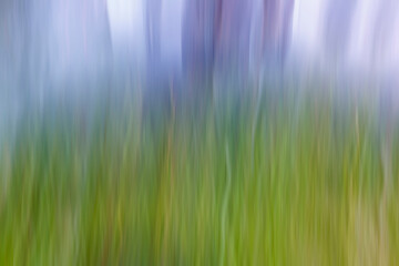 Blurry grass gradient background illustration with green yellow and purple color