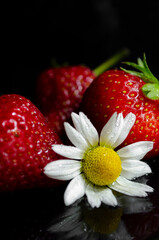 fresh strawberries on a black background