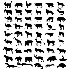 Silhouette 53 animal set vector illustration collection