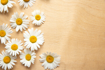 Fototapeta na wymiar Rustic wooden background with chamomile. Flowers. Workspace. Blank for greetings