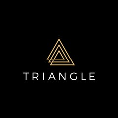 triangle logo vector icon illustration