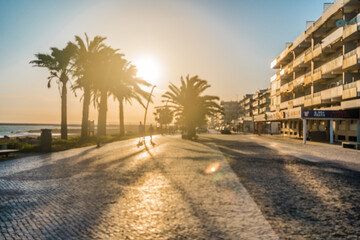 Fototapeta premium Beautiful palm trees silhouette at sunset embankment. Evening night sea landscape. People walk on the ocean.