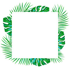 Frame with palm and monstera leaves on a white background.