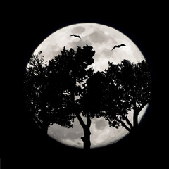 Vector silhouette of forest with moon background. Symbol of night.