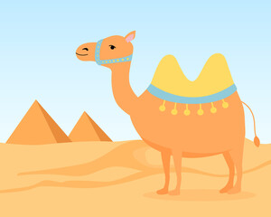 Cute camel in the desert. Pyramids on horizon. Vector.