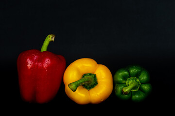 frische Paprika mit Wassertropfen rot gelb grün vor schwarz