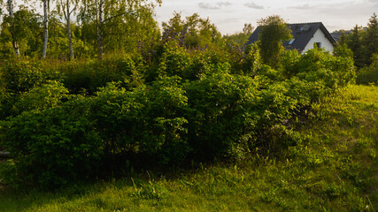 
Landscapes and views in the Botanical Garden in Radzionków. Ready for entry.