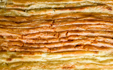 Baked homemade traditional Balkan, Bosnian, Greek, Turkish,  Serbian dish burek.