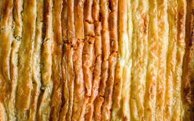 Baked homemade traditional Balkan, Bosnian, Greek, Turkish,  Serbian dish burek.