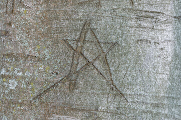 Pentagramm in die Rinde eines Baumes eingeritzt, Deutschland
