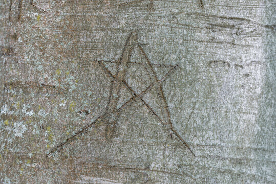 Pentagramm in die Rinde eines Baumes eingeritzt, Deutschland