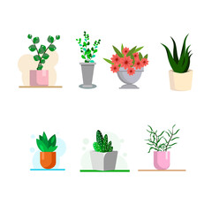 Vector illustration. Set of home plants. Set of flowers in pots of different colors. Isolated elements in flat style to create a design.