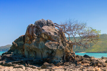 Beautiful rocky beach and sea near the Kuta, Lombok island