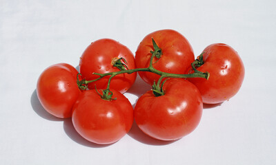 Branch of ripe tomatoes, close up image on a white background
