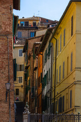 Obraz premium Streets, Sculptures and Buildings in Florence