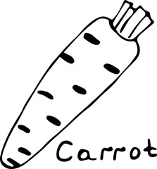 Vector illustration of a carrot in the Doodle style, hand-drawn black outline on a white background with the text 