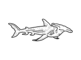 Hammerhead shark sketch engraving vector illustration. T-shirt apparel print design. Scratch board imitation. Black and white hand drawn image.