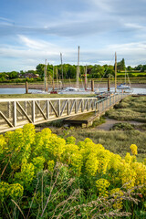 Wooden jetty at low tide on river