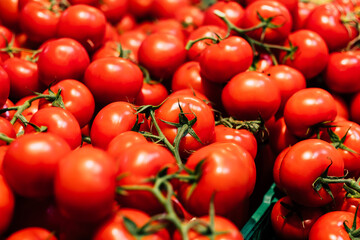 Grappes de tomates cerises fraiches au marché