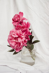 glass with tea and a bouquet of flowers on a white vintage background. flowers red peonies