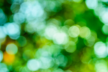 Abstract and defocused bokeh background. Ecological concept