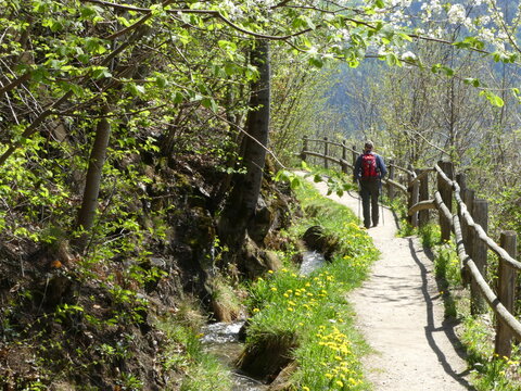 wandern an den wunderbaren Waalwegen im Vinschgau (s&uuml;dtirol, Italien)