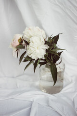 bouquet of white peonies in a vase, flowers in a bottle. on a white background white flowers