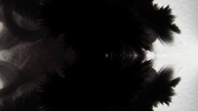 The symmetric appearance of ink on a sheet of paper in the form of a Rorschach test