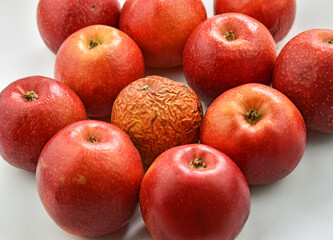 Rotten and spoiled red apples on white background. Unhealthy fruits.