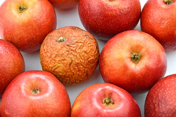 Rotten and spoiled red apples on white background. Unhealthy fruits.