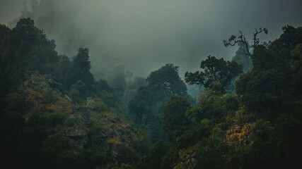fog in the mountains
