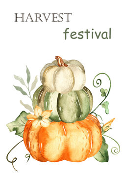 Watercolor card with pumpkins, autumn leaves, flowers, harvest festival.