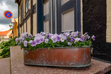 Ebeltoft, Denmark June 8, 2020 Quaint cobblestoned streets in the old town and a flower pot.