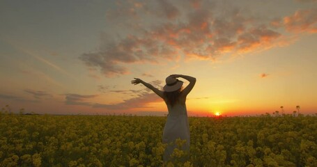 A girl is standing among a field of yellow flowers and putting on a hat. The girl is looking at the sunset. She is getting good emotions. 4K - Powered by Adobe