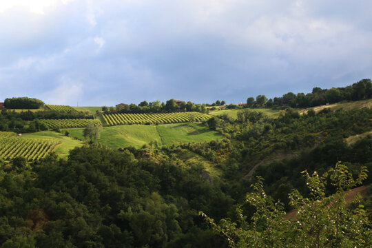 Colline coltivate a vigneti e campi di grano sotto un cielo minaccioso e temporalesco di una calda giornata d&rsquo;estate