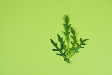 Fresh green arugula leaves on a green background, flat lay, place for text